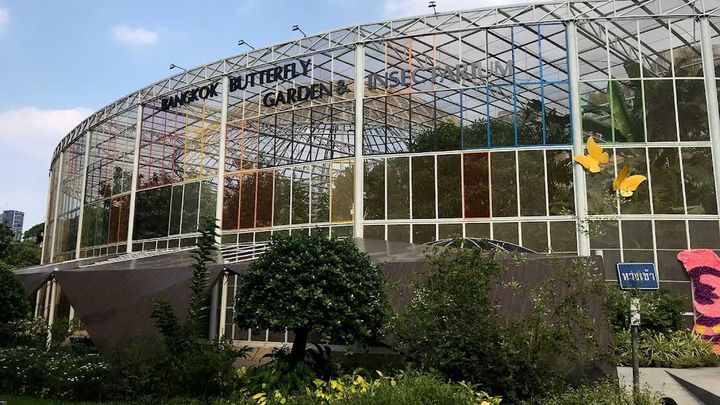 Butterfly Garden and Insectarium