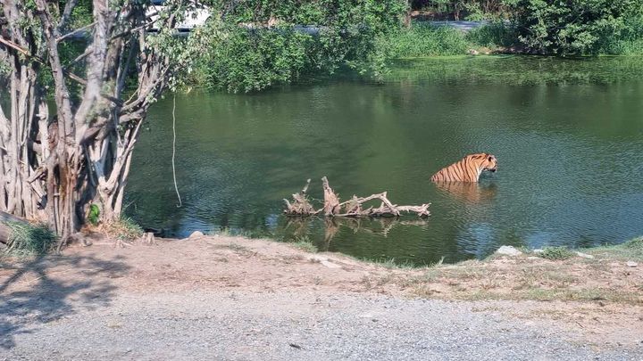 Safari World