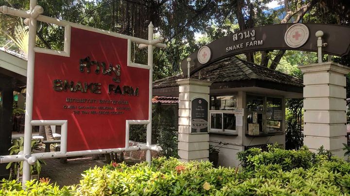 Snake Farm