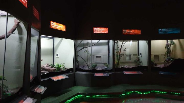 Snake Farm