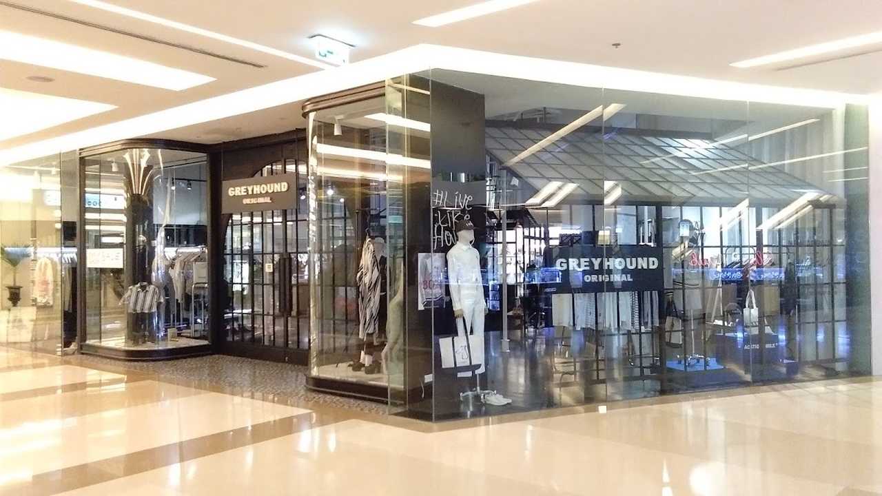Greyhound Original