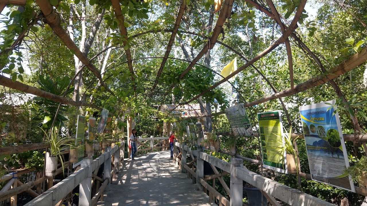 Bang Khun Thian Mangrove Forest Learning Center