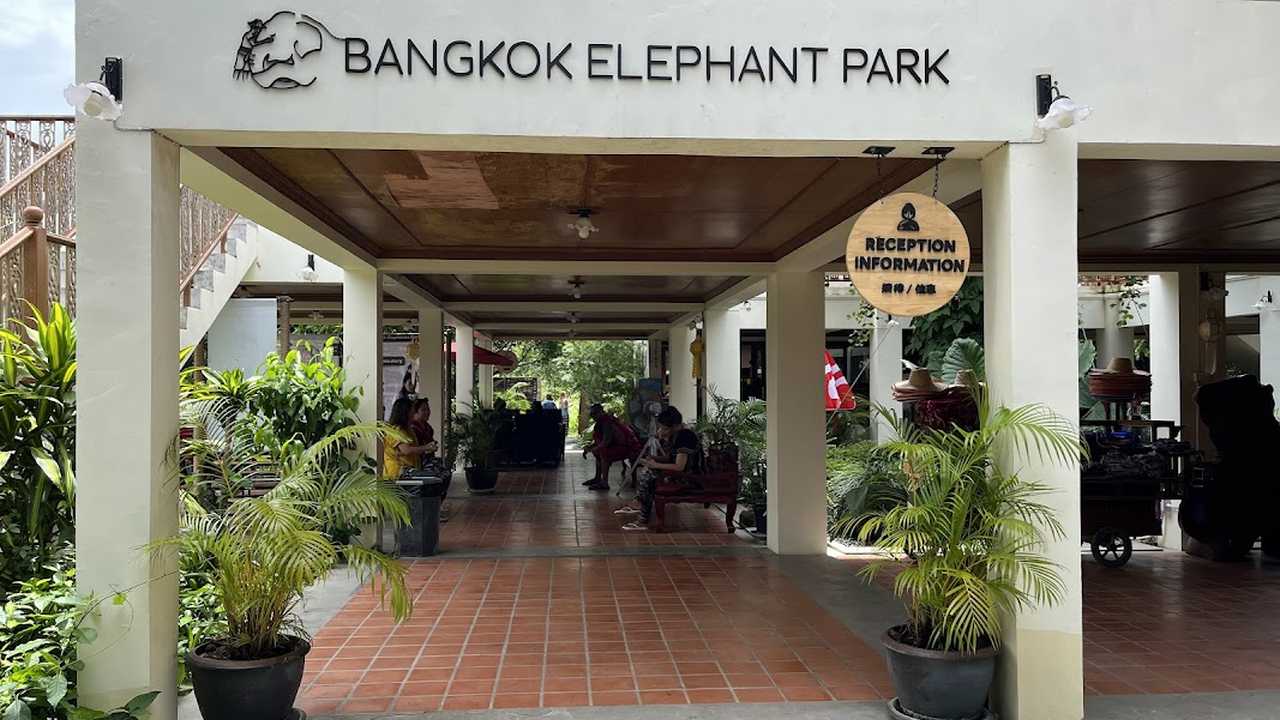 Bangkok Elephant Park