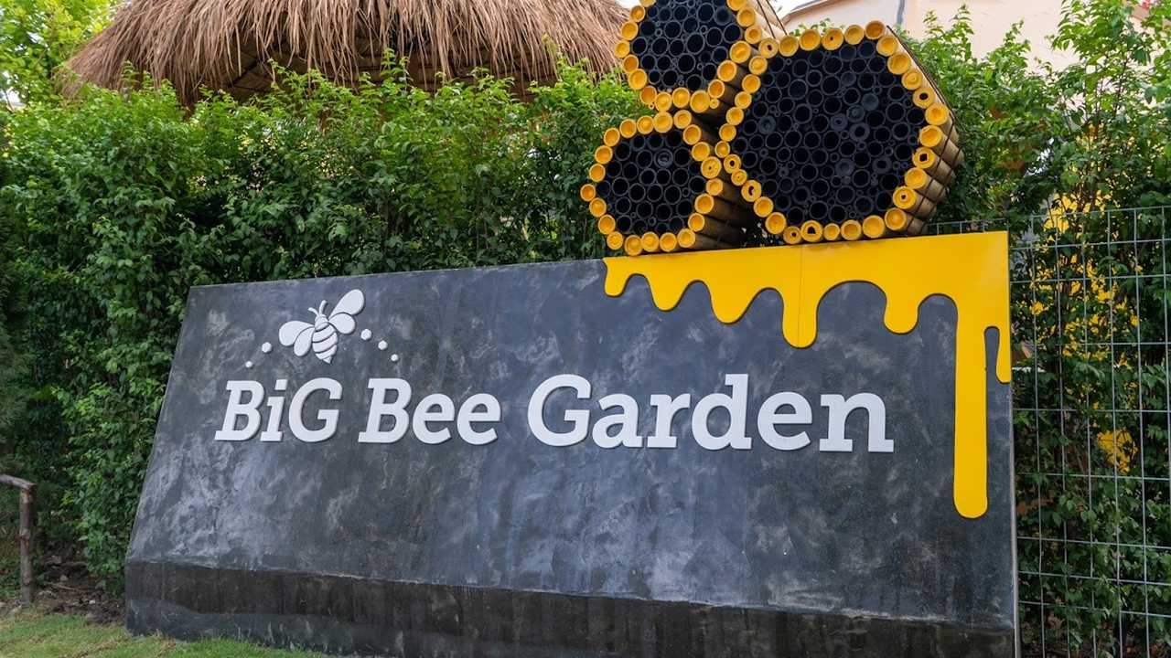 Big Bee Garden