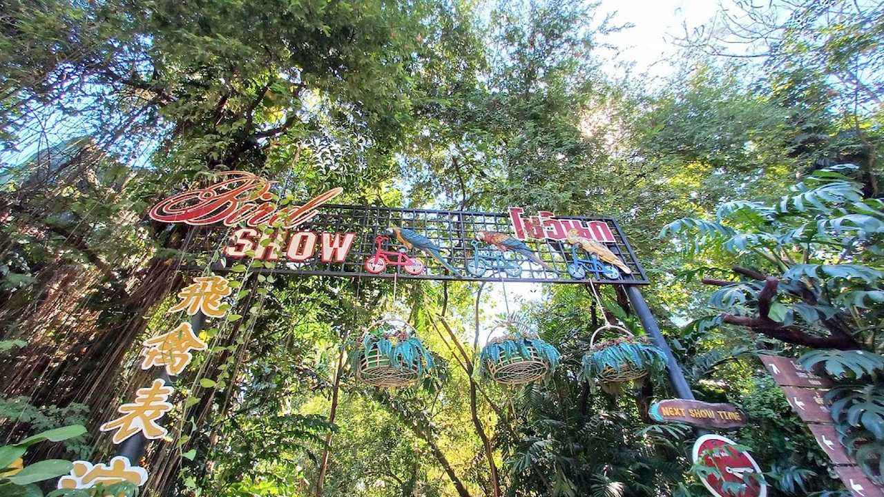 Bird Show