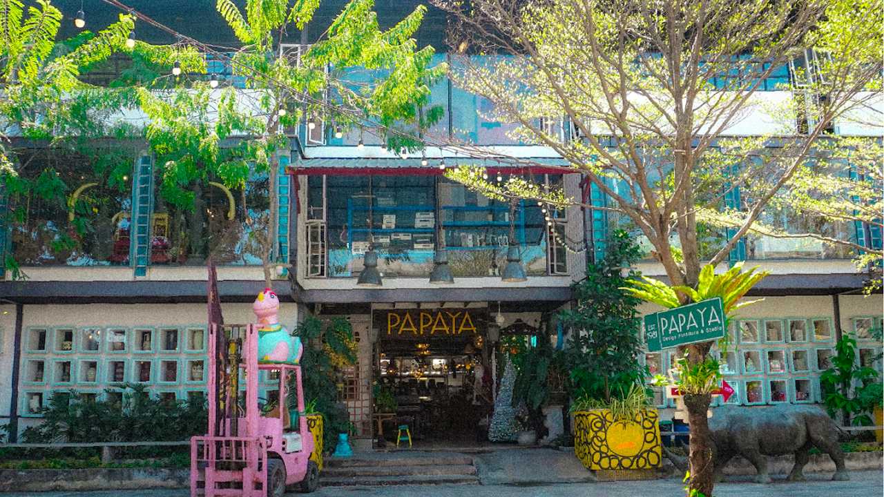 Papaya Vintage
