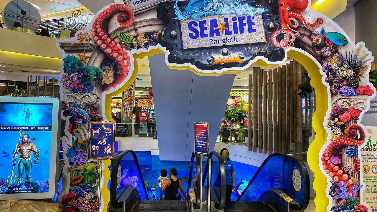 Sea Life Bangkok Ocean World