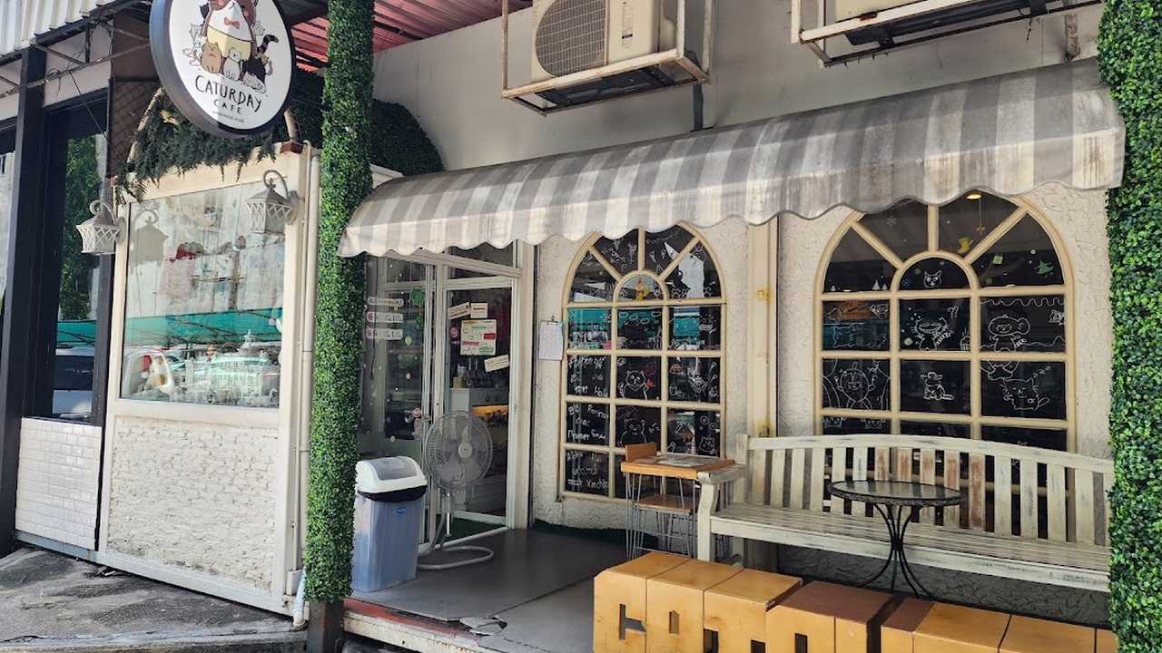 Caturday Cat Cafe