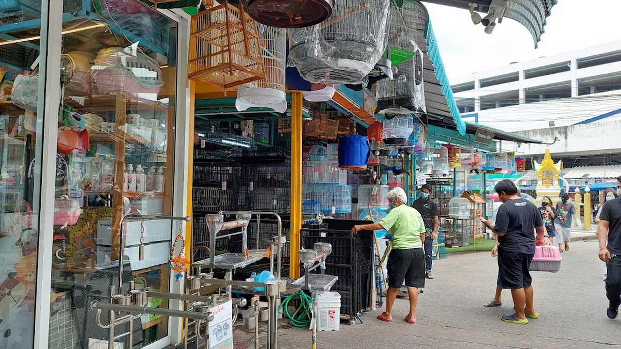 JJ Pet Market