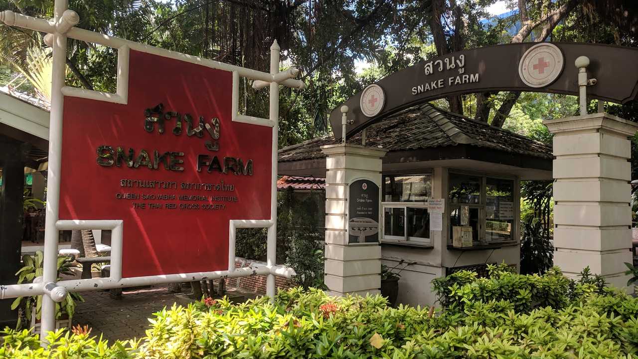 Snake Farm