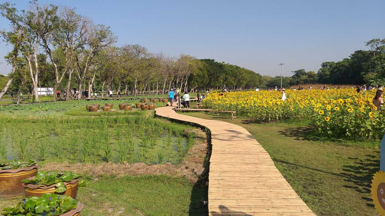 Wachirabenchathat Park